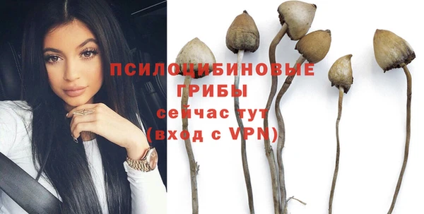 эйфоретик Алексеевка