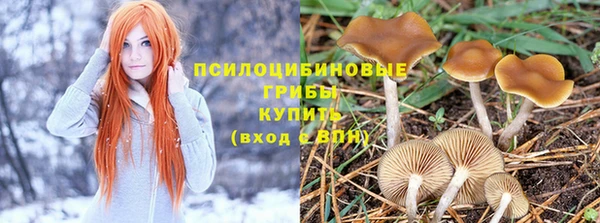 эйфоретик Алексеевка